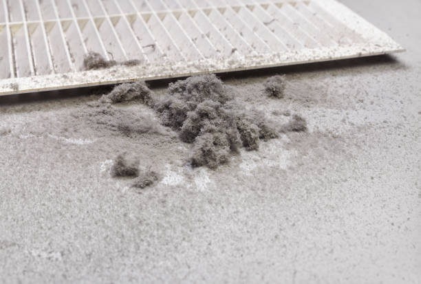 Best HVAC System Cleaning  in Falls City, OR